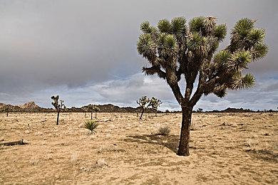 近在咫尺！《最终幻想7重制版》终章已进入配音阶段